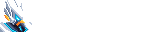 Logickin - The Blog